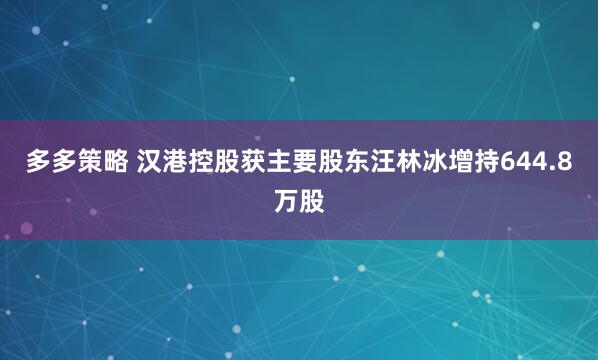 多多策略 汉港控股获主要股东汪林冰增持644.8万股