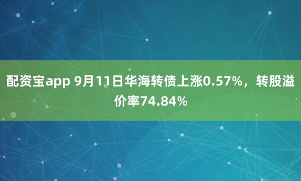 配资宝app 9月11日华海转债上涨0.57%，转股溢价率74.84%