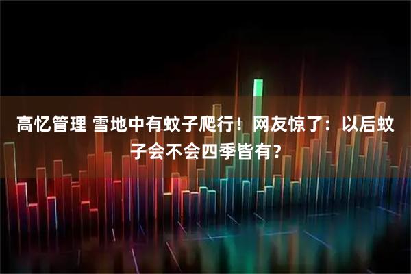 高忆管理 雪地中有蚊子爬行！网友惊了：以后蚊子会不会四季皆有？